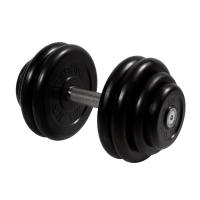 Гантель неразборная 28,5 кг MB Barbell Профи