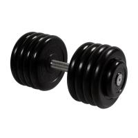 Гантель неразборная 43,5 кг MB Barbell Профи