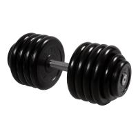 Гантель неразборная 48,5 кг MB Barbell Профи