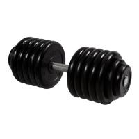 Гантель неразборная 58,5 кг MB Barbell Профи