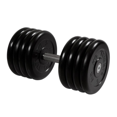 Гантель неразборная 41 кг MB Barbell Профи