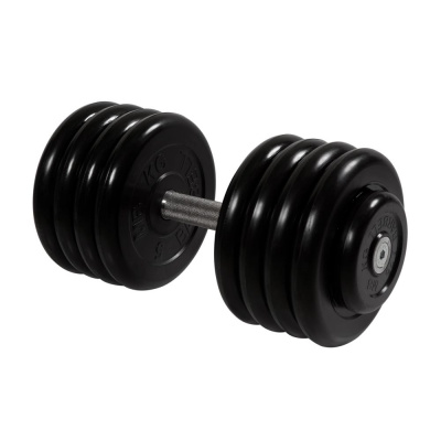 Гантель неразборная 43,5 кг MB Barbell Профи